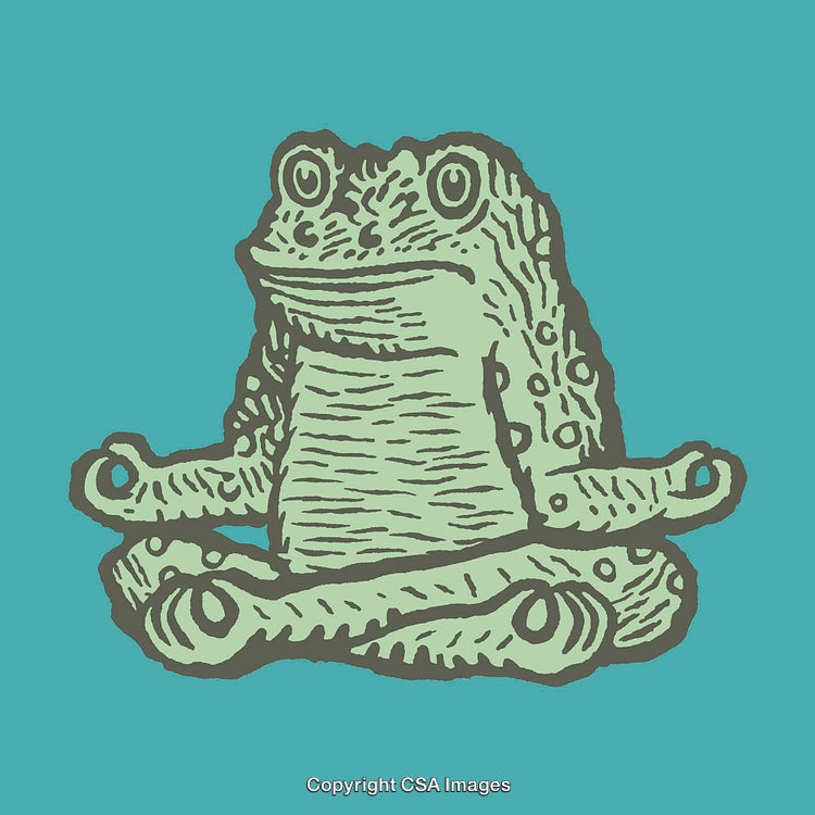 Meditative Frog Illustration With Calm and Relaxed Expression on Color Background