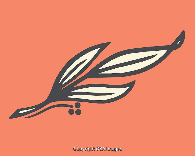 Minimalistic Illustration of Branch with Leaves on Coral Background