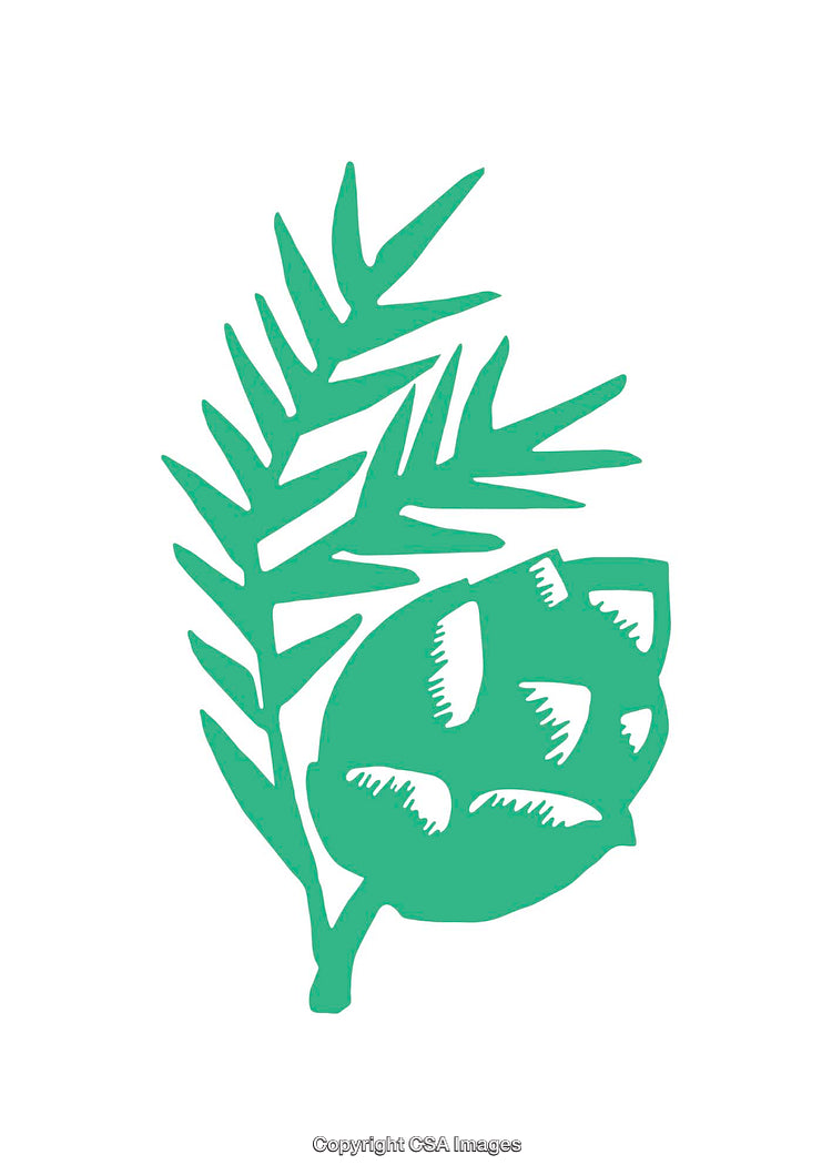 Abstract Hand-Drawn Green Floral and Leaf Botanical Illustration on White Background