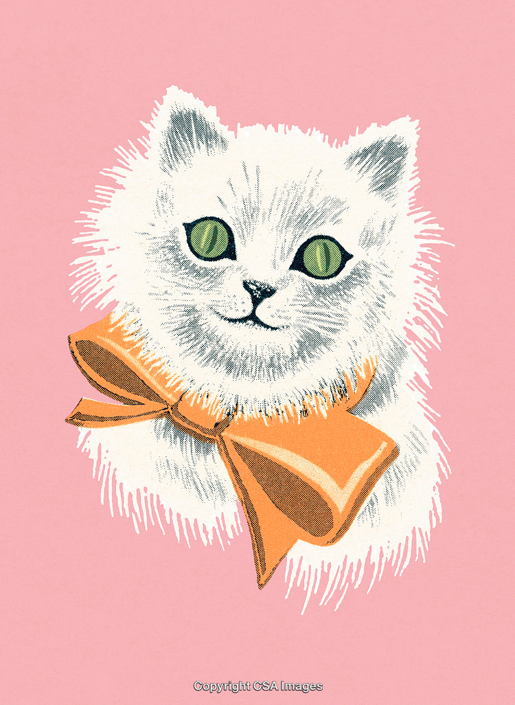 Vintage Illustration of a White Cat With Orange Bow on Pink Background