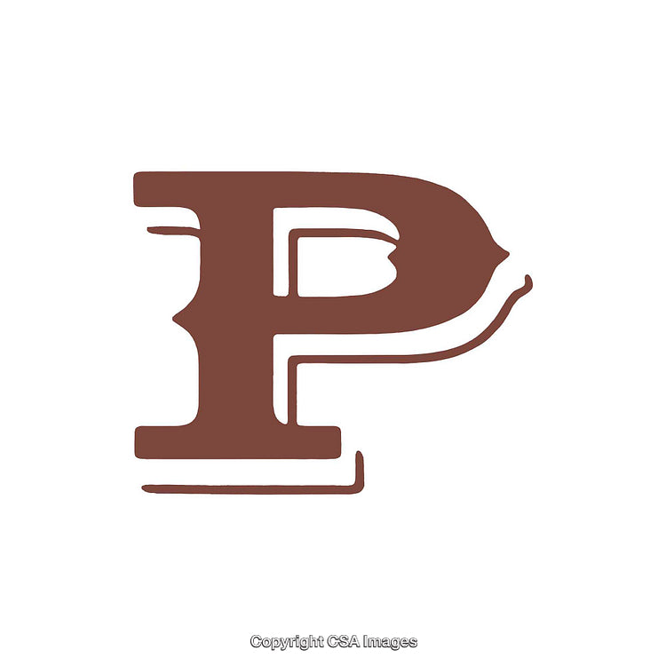 Stylish Artistic Representation of the Letter P in Decorative Format