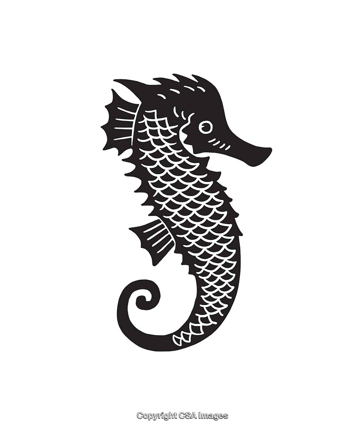 Intricate Black And White Seahorse Line Art Illustration