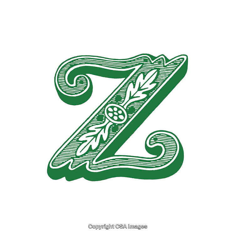 Ornate Green Letter Z Illustration with Decorative Floral Details
