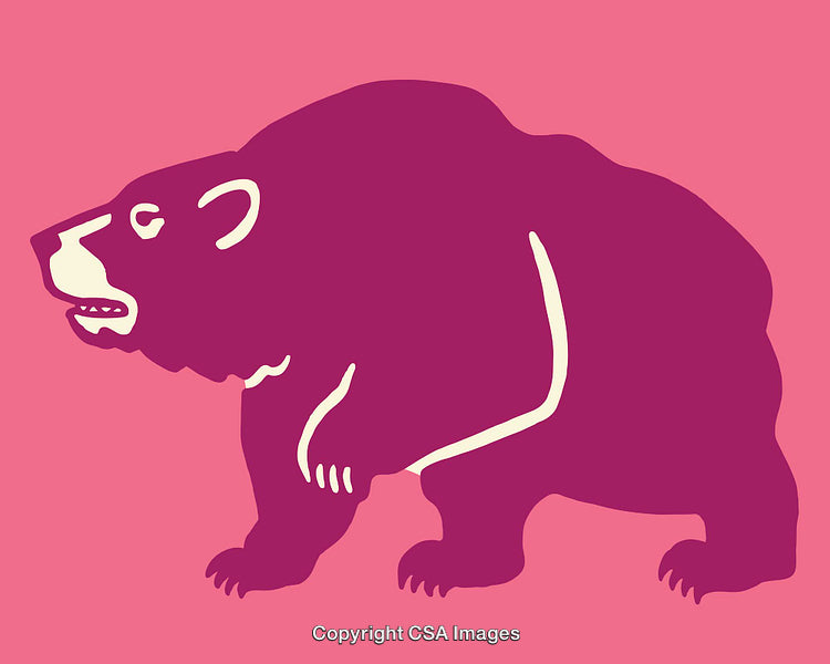 Stylized Bear Illustration in Modern Monochrome Design with Pink Background