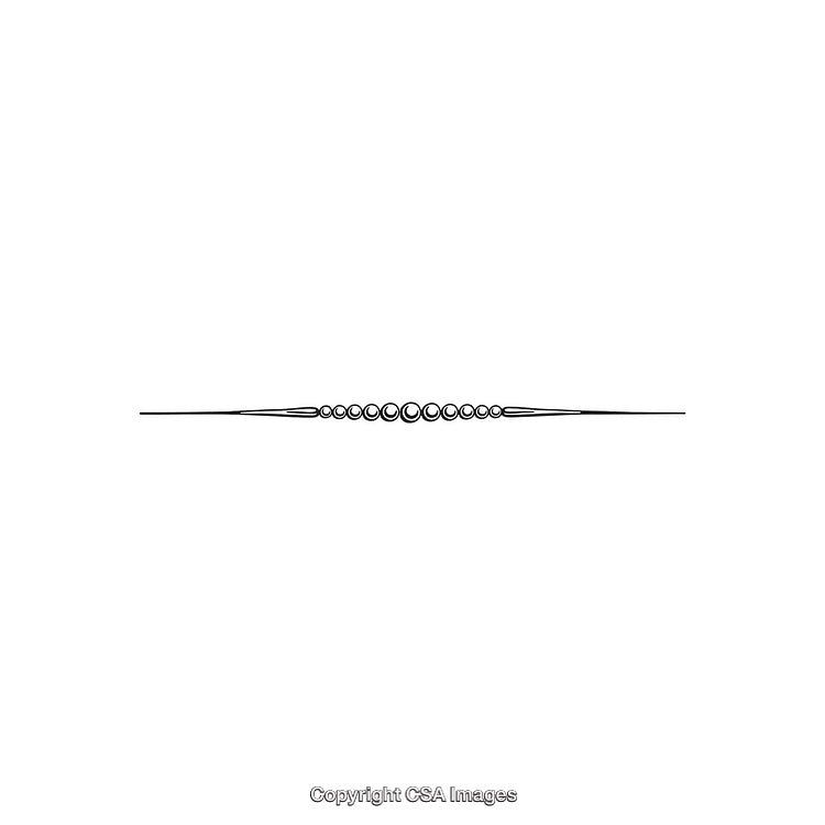 Elegant Black and White Modern Decorative Ornamental Divider Design