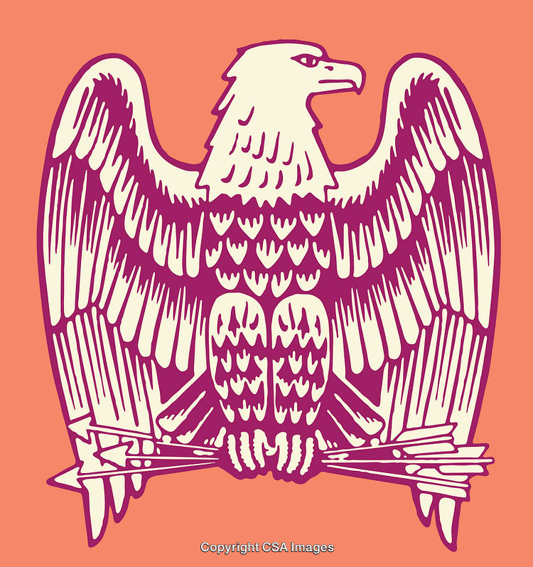 Stylized Eagle Illustration Representing Strength and Heritage in Bold Colors