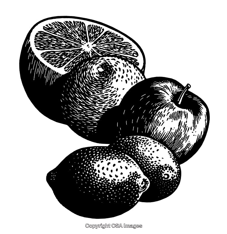 Black and White Engraving of Various Fruits Including Apple and Lemon