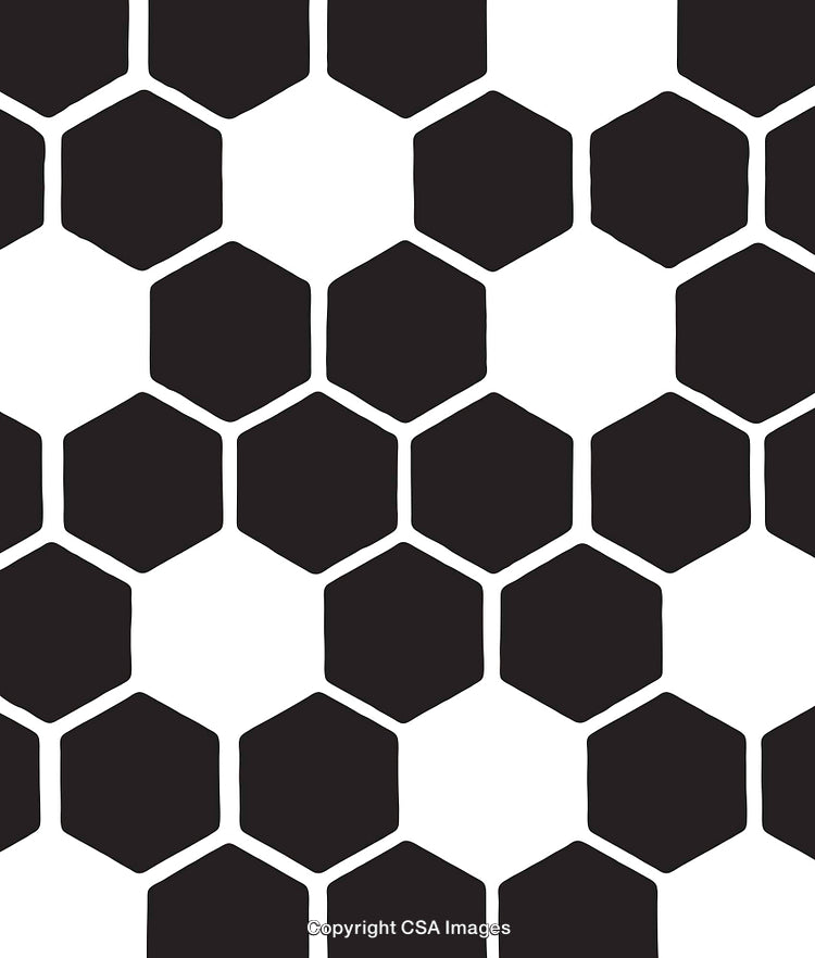 Abstract Black and White Geometric Pattern Featuring Hexagonal Shapes