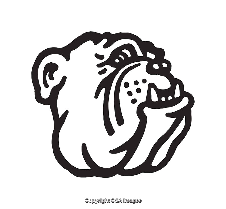 Bold Black and White Bulldog Line Art Drawing With Unique Style