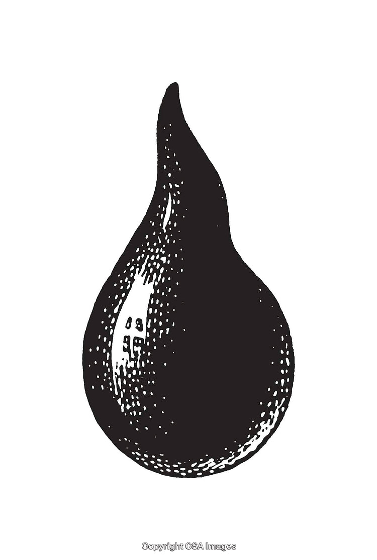Vintage Black and White Line Art of a Stylized Teardrop Shape