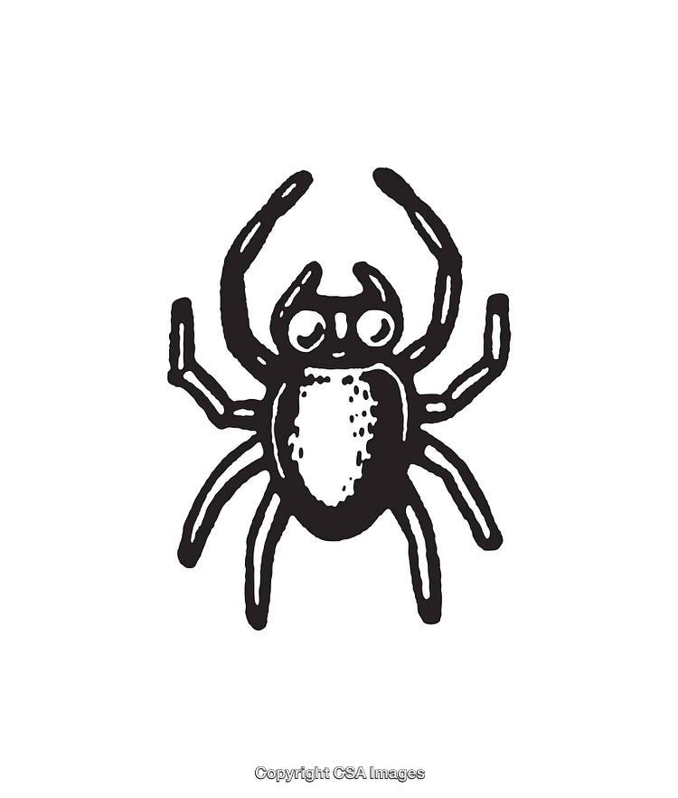 Black and White Line Art of Spider Illustration