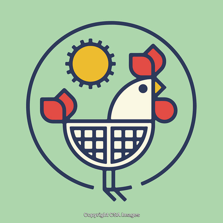 Colorful Line Art Illustration of a Chicken with Sun on Green Background