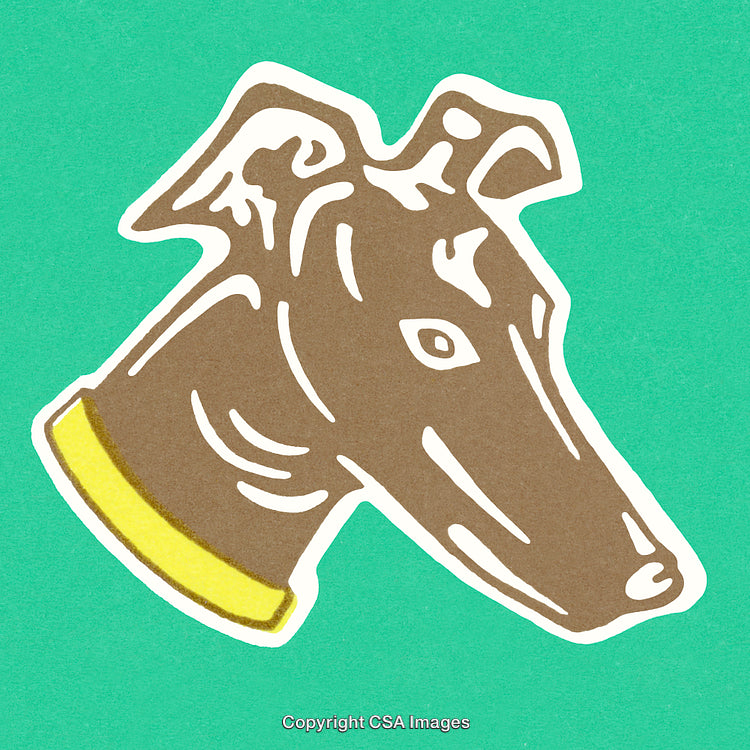 Stylized Illustration of a Dog Head on a Vibrant Green Background