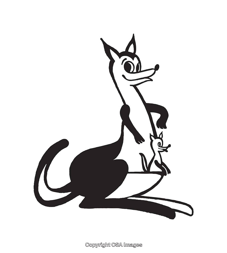 Playful Black and White Kangaroo with Joey Illustration