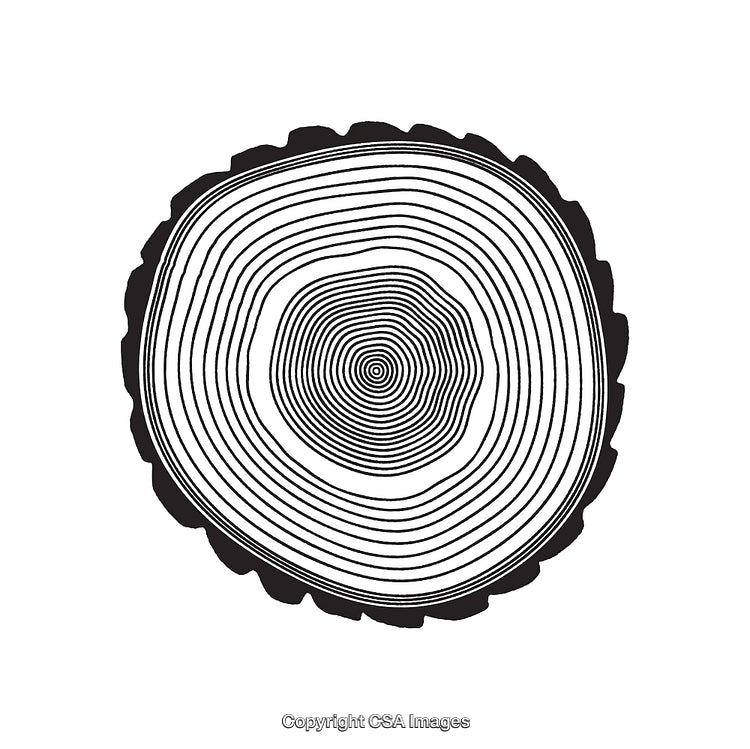 Black and White Tree Ring Line Art Illustration