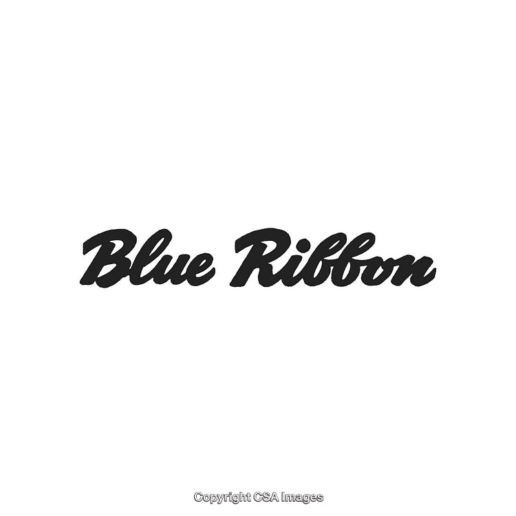 Stylish Logo Design Featuring the Text 'Blue Ribbon' on a White Background