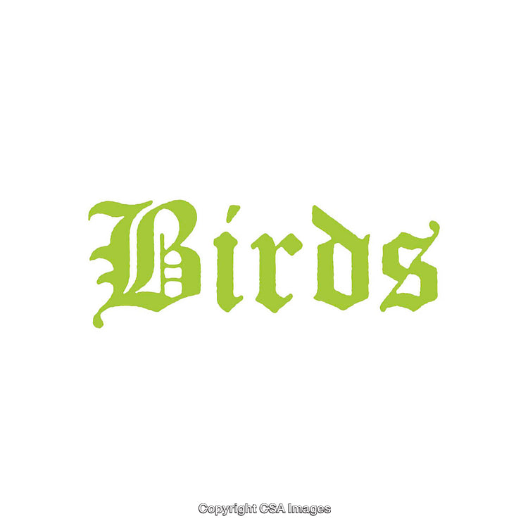 Green Gothic 'Birds' Text on a Minimalist White Background