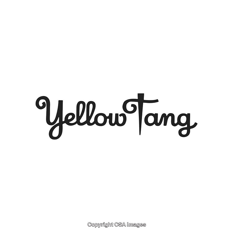 Stylized Logo Design With Yellow Tang Text in Black Handwritten Font