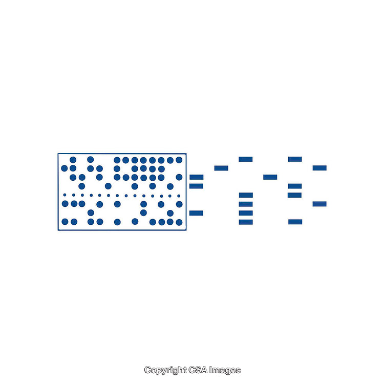 Abstract Data Representation with Grid and Symbol Shapes on White Background