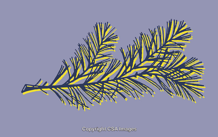Decorative Yellow and Purple Botanical Line Art on Violet Background