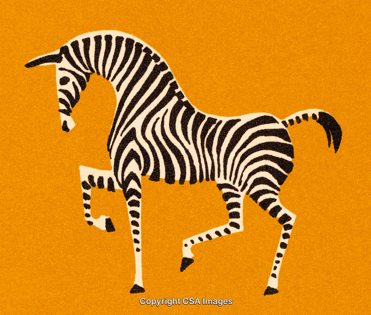 Illustrated Zebra on Bold Orange Background in Stylized Artistic Design