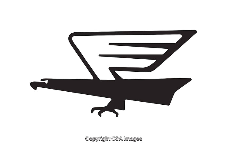 Stylized Black and White Eagle Symbol with Abstract Design Elements