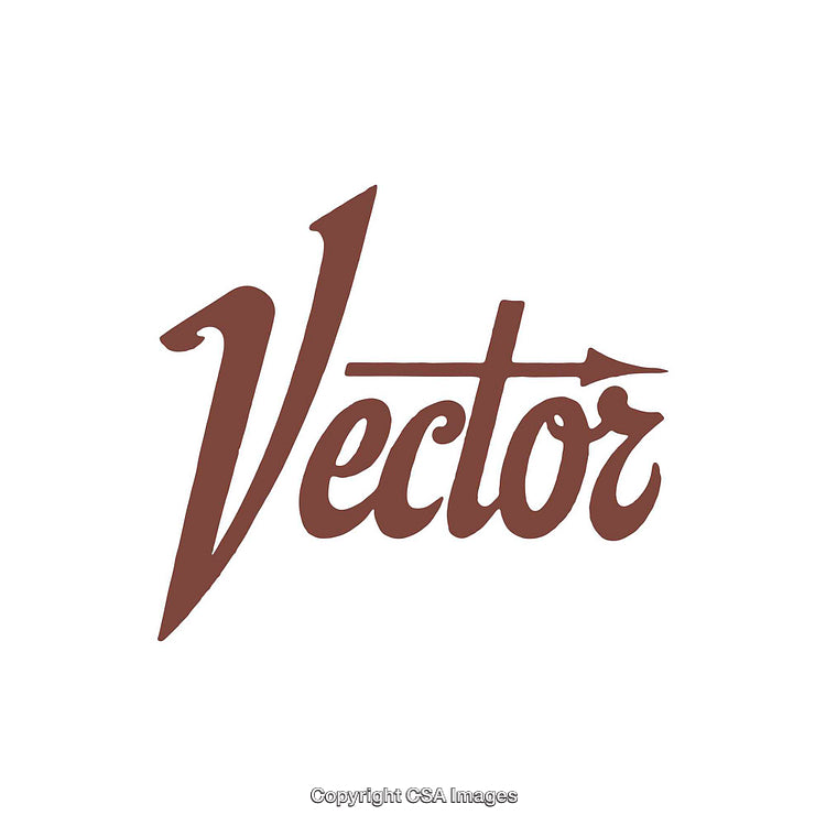 Elegant Hand-Lettered Vector Script on a Clean White Background