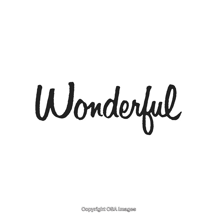 Wonderful Handwritten Script Text with a Minimalistic Design on White Background