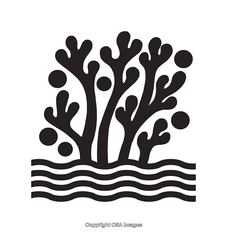 Abstract Organic Line Art Coral Illustration With Clean Design