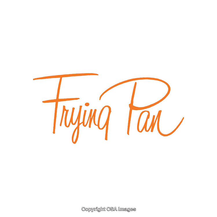 Stylized Orange Text Logo with Handwritten Font on White Background