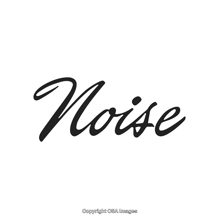 Elegant Stylized Text with the Word Noise in a Script Font Style