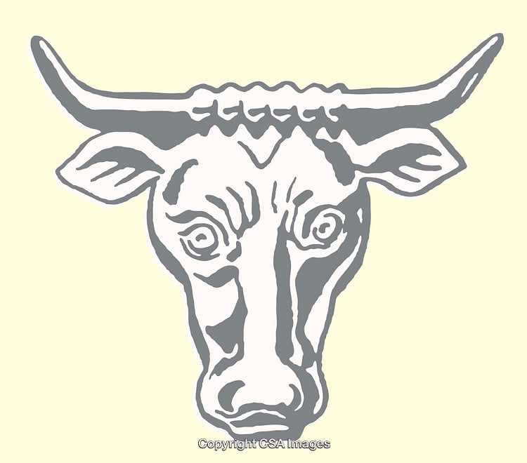 Minimalist Line Art Illustration of a Bull Head in Grey