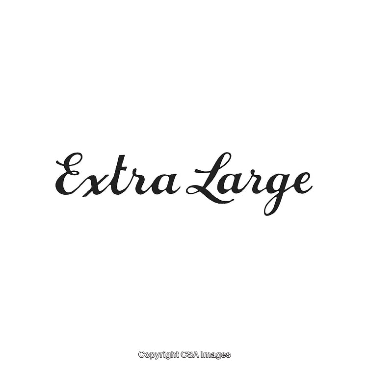 Artistic Decorative Calligraphy of the Text 'Extra Large' in Stylish Font