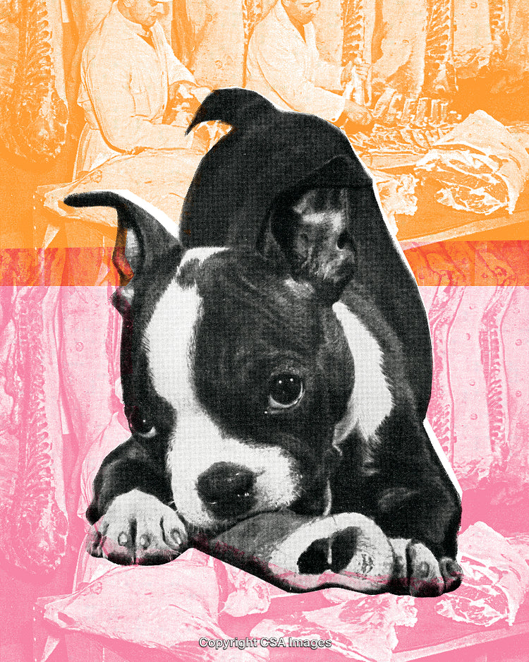 Playful Puppy with Retro Collage Background in Warm Tones