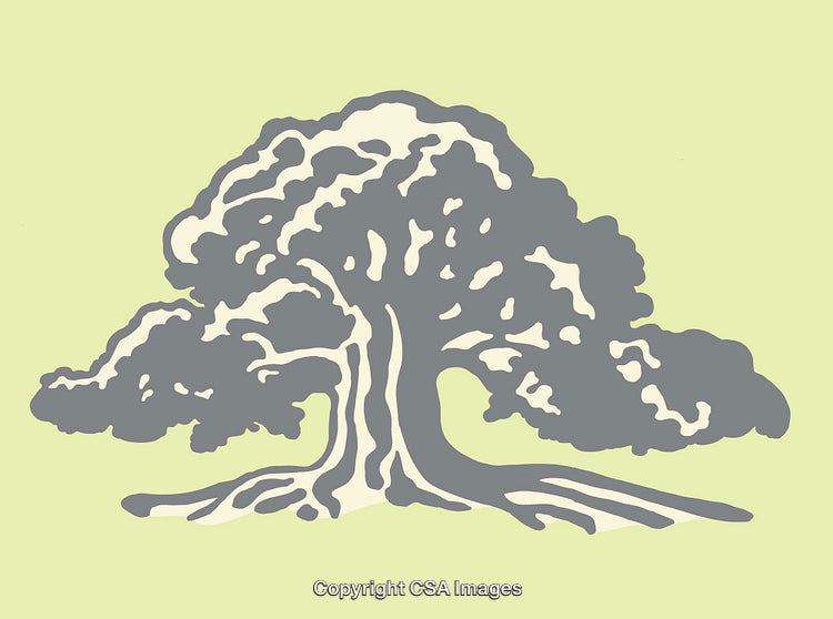 Stylized Tree Illustration Depicting Nature and Growth Concepts