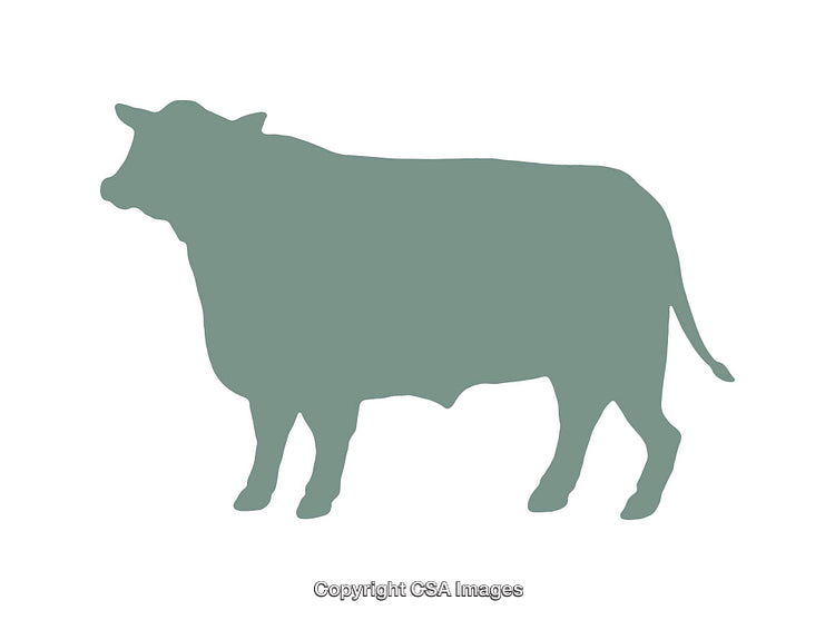 Silhouetted Green Cow Illustration on a White Background