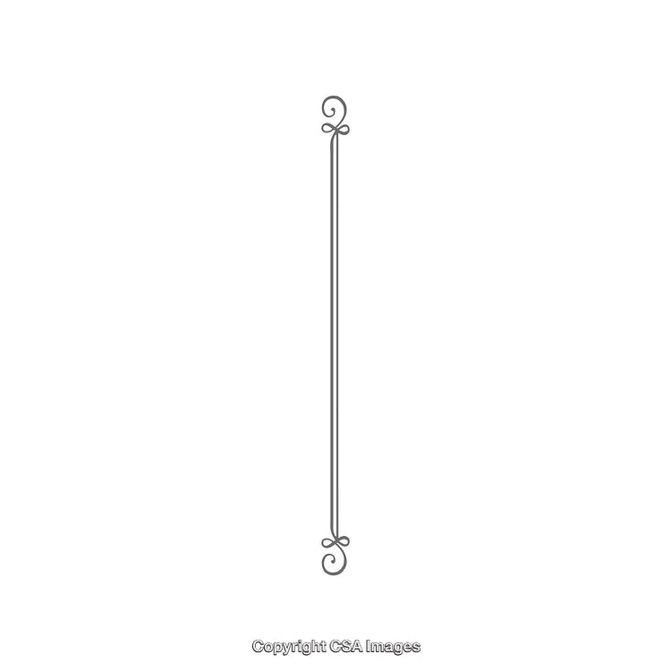 Elegant Minimal Line Design With Decorative Swirls and Simple Aesthetic
