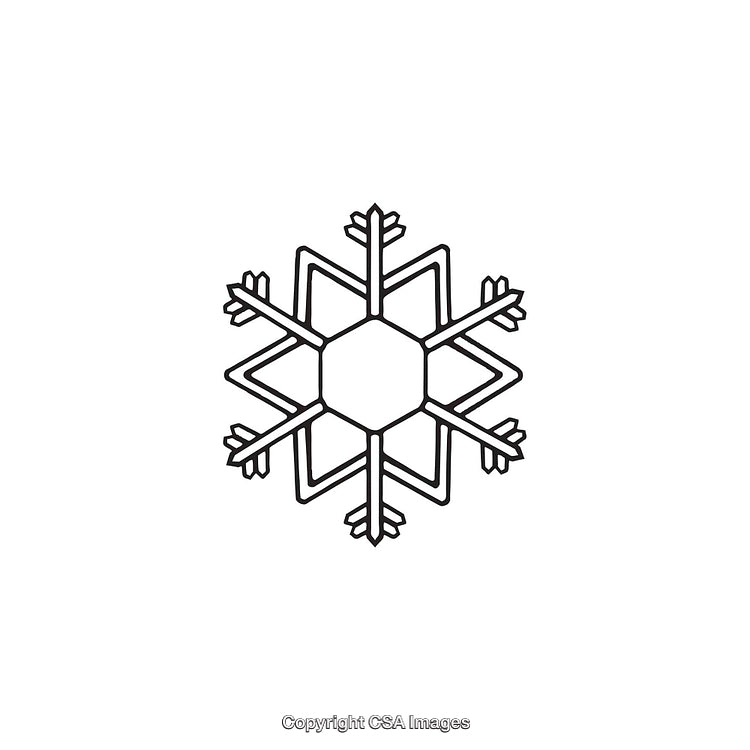 Black and White Geometric Snowflake Design for Holiday Decorations and Art
