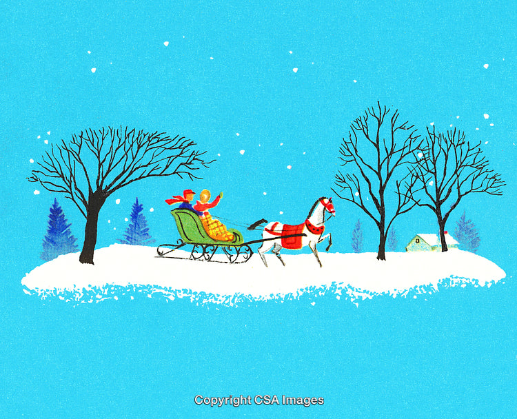 Horse-Drawn Sleigh Ride Through a Snowy Winter Wonderland