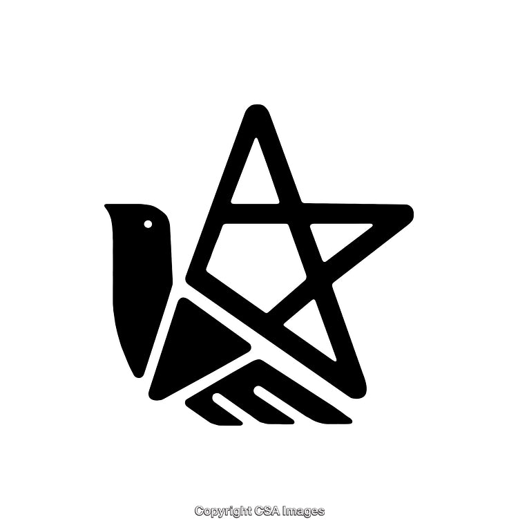 Minimalistic Black And White Icon of a Bird and Star Combination