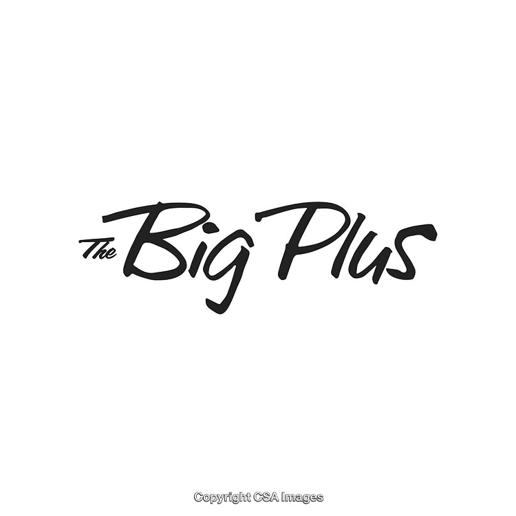 Stylish Handwritten Logo Design with the Text 'The Big Plus'