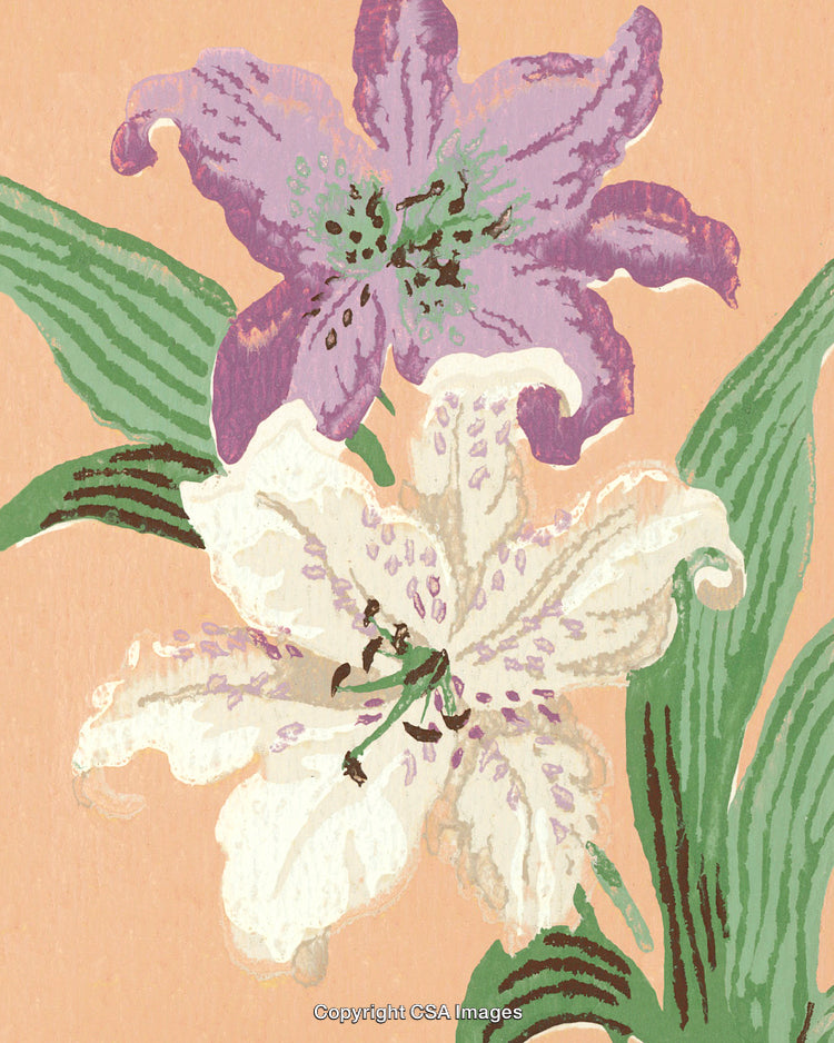 Artistic Illustration of Lilies with Pastel Background and Natural Details