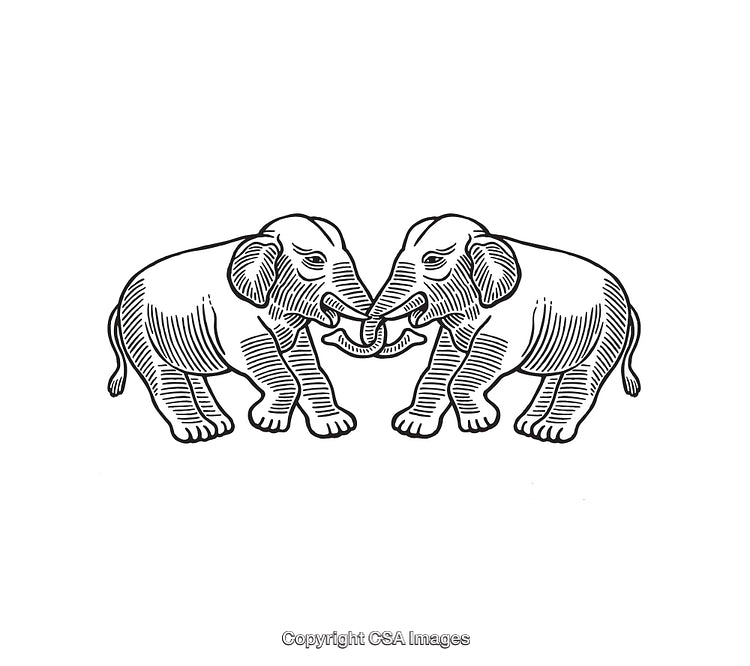 Black and White Line Art of Two Elephants Facing Each Other