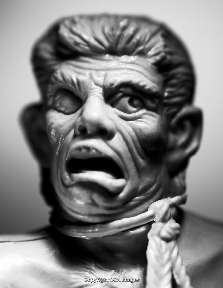 Close-Up of Distressed Expression on Plastic Toy Figurine