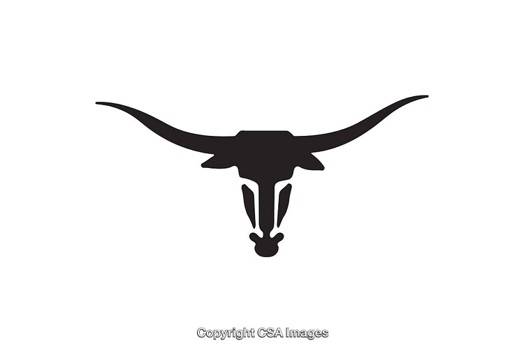 Black and White Longhorn Skull Silhouette Icon with Extended Horns