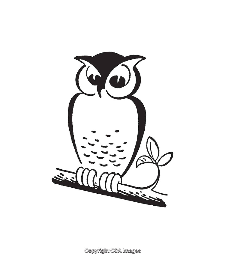 Black and White Illustration of an Owl Perched on a Tree Branch Design