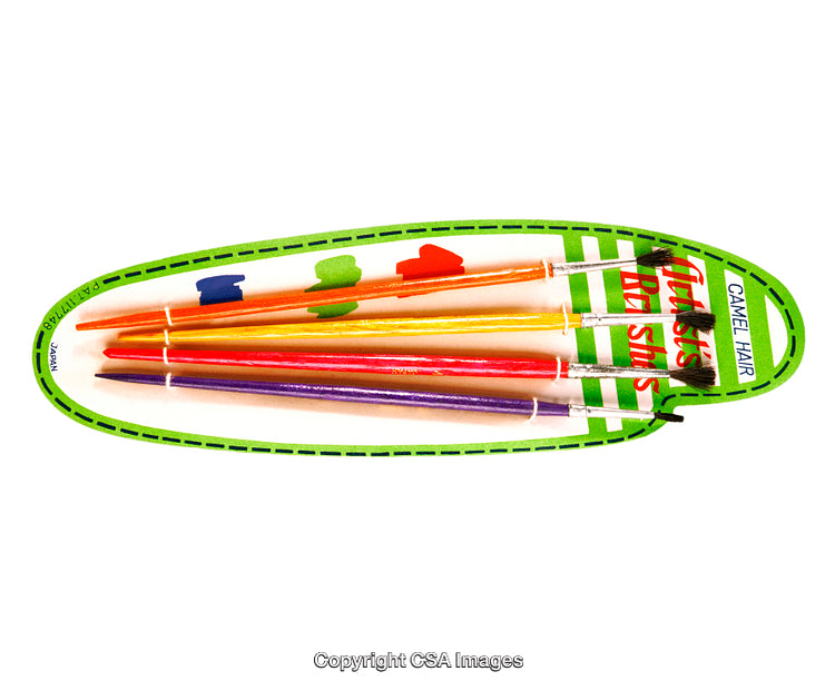 Colorful Artist Brushes in a Packaging Set Isolated on White Background
