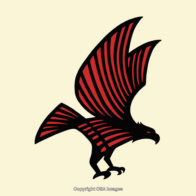 Stylized Red and Black Hawk Illustration with Dynamic Lines