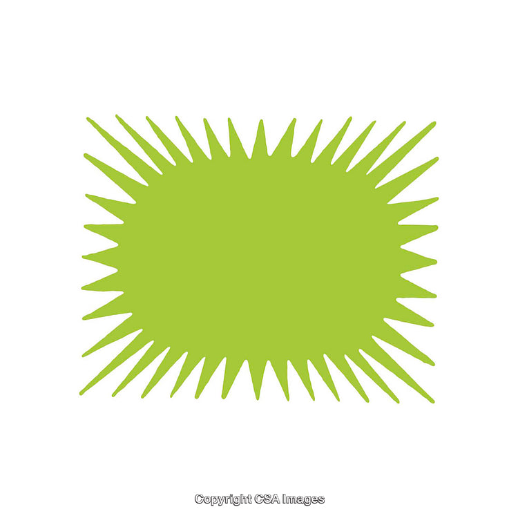 Green Sunburst Shape Design on a White Background