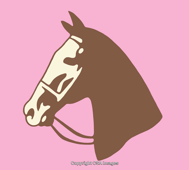 Stylized Illustration of a Horse Head in Bold Colored Line Art